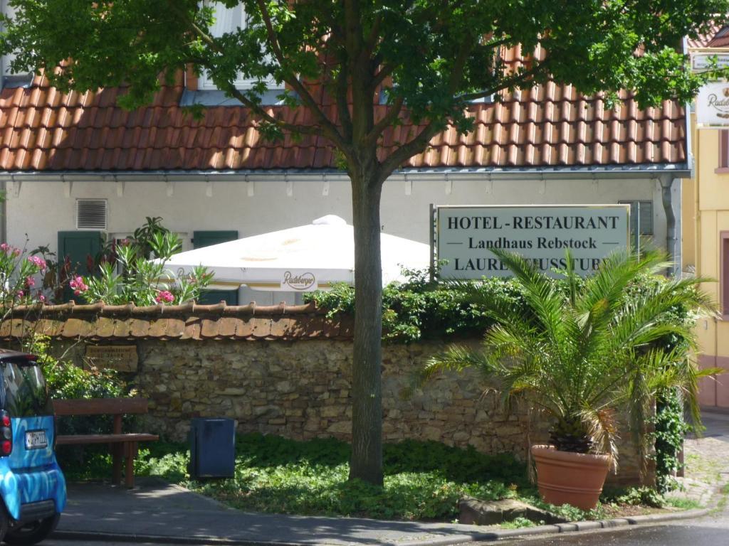 Landhaus Rebstock Worms Kültér fotó